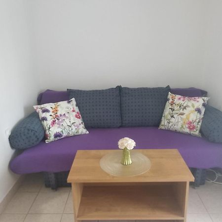 Apartment Savic Starigrad Paklenica Εξωτερικό φωτογραφία