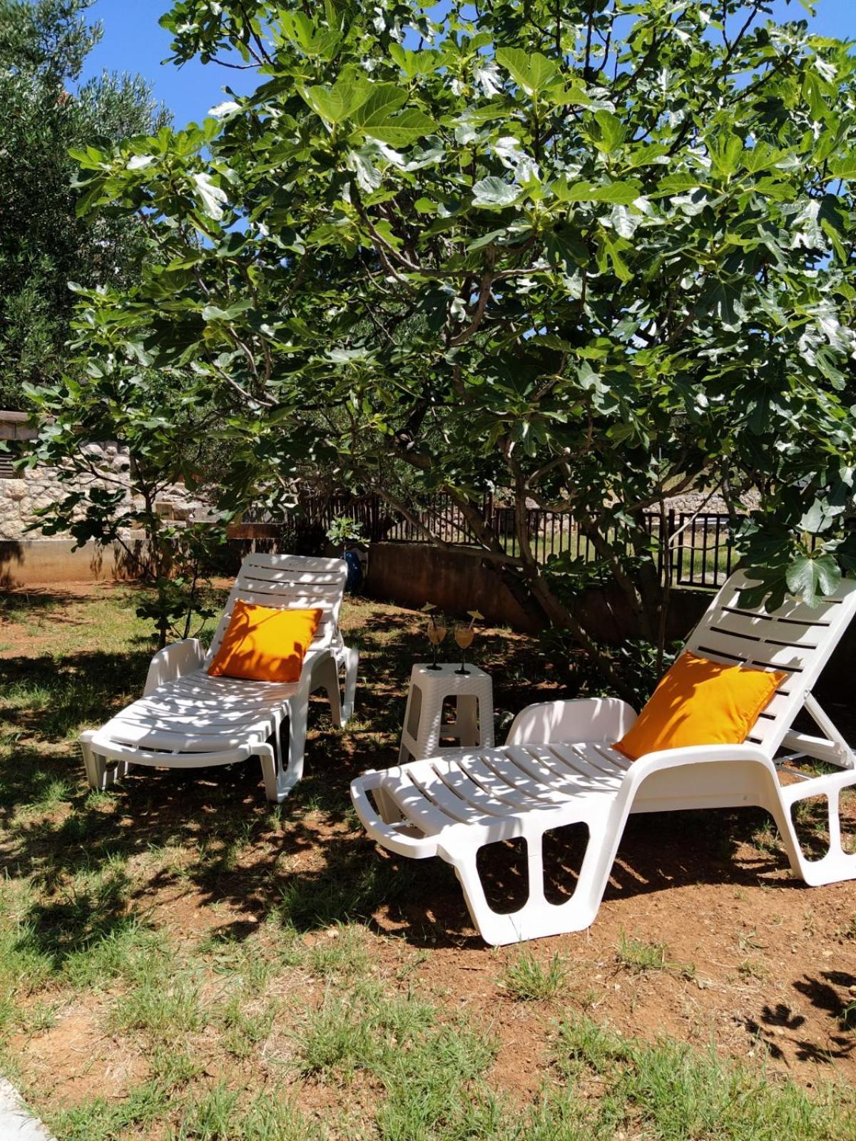 Apartment Savic Starigrad Paklenica Εξωτερικό φωτογραφία