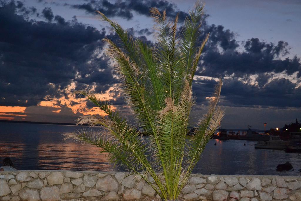 Apartment Savic Starigrad Paklenica Εξωτερικό φωτογραφία