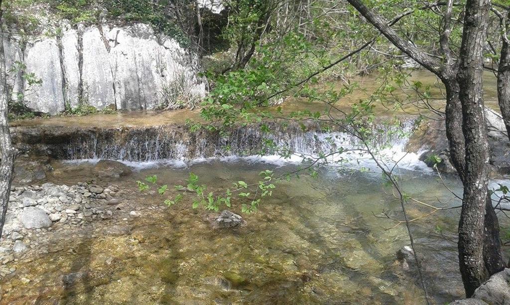Apartment Savic Starigrad Paklenica Εξωτερικό φωτογραφία
